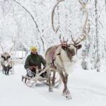 Rovaniemi: Santa Claus Village + Husky & Reindeer Sled Ride - Reindeer Sleigh Ride Through Lapland’s Countryside