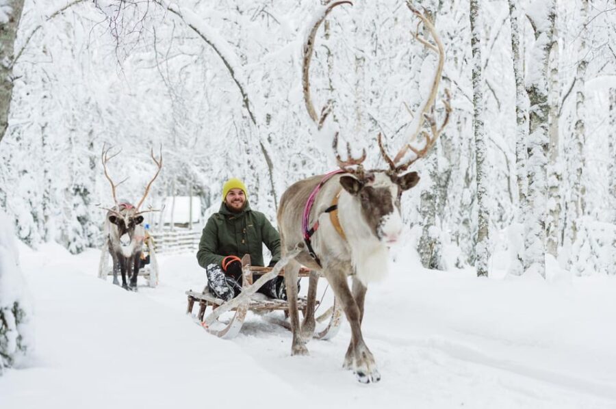 Rovaniemi: Santa Claus Village + Husky & Reindeer Sled Ride - Reindeer Sleigh Ride Through Lapland’s Countryside