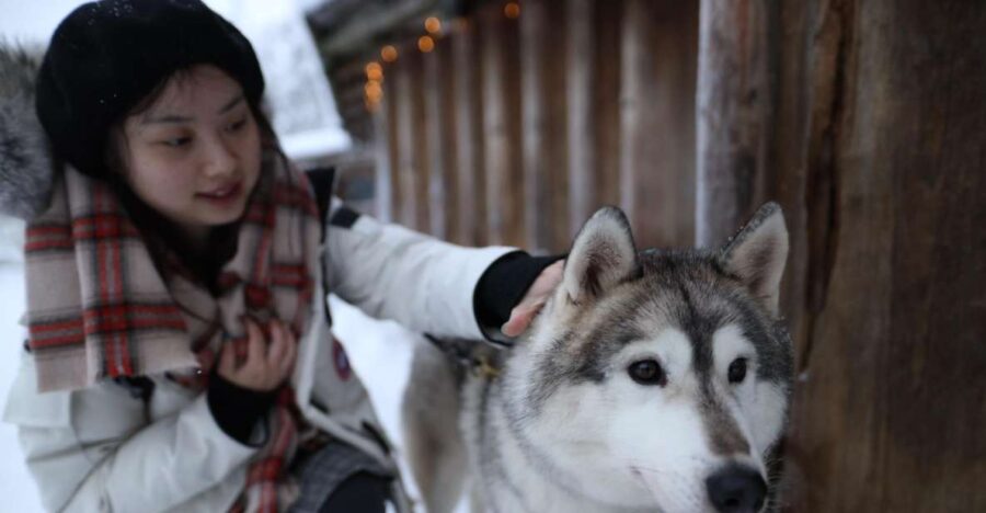 Rovaniemi: Santa Claus Village Tour Huskies & Reindeer Visit - Starting in Rovaniemi with a Convenient Hotel Pickup