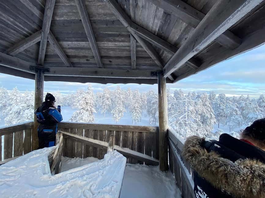 Rovaniemi: Small-Group Snowshoe Tour at Vikaköngäs & BBQ - Snowshoeing through Forests and Lakes