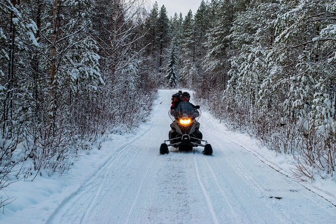 Rovaniemi Snowmobile Adventure & BBQ - 1Hour Drive, Small Group - The Private Wilderness Snowmobile Ride on Lapland’s Snowy Trails
