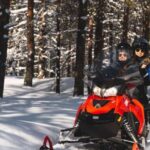 Rovaniemi: Snowmobile Safari into the Arctic Circle Forest - Safety and License Requirements for Drivers
