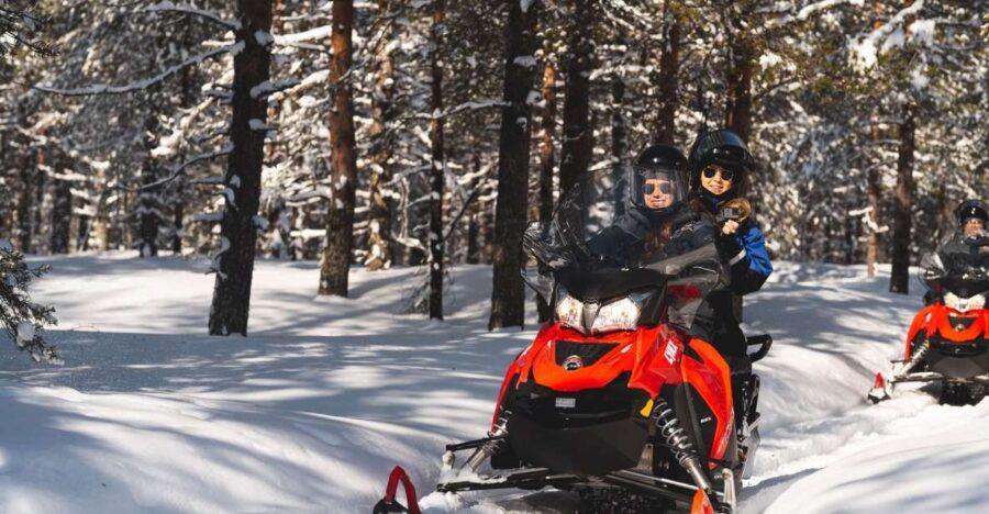 Rovaniemi: Snowmobile Safari into the Arctic Circle Forest - Safety and License Requirements for Drivers