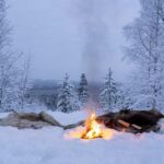 Rovaniemi: Snowmobile Sleigh Ride with Campfire Coffee - Snowmobile and Sled Ride Through Arctic Forests