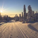 Rovaniemi: Snowshoeing, Ice Fishing and Salmon in Kota - Ice Fishing on a Frozen Lapland Lake