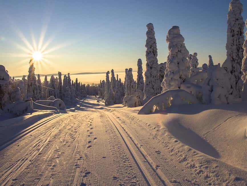 Rovaniemi: Snowshoeing, Ice Fishing and Salmon in Kota - Ice Fishing on a Frozen Lapland Lake