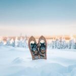 Rovaniemi: Snowshoeing in the Arctic Wilderness - Starting Your Arctic Adventure Near Revontuli Rovaniemi