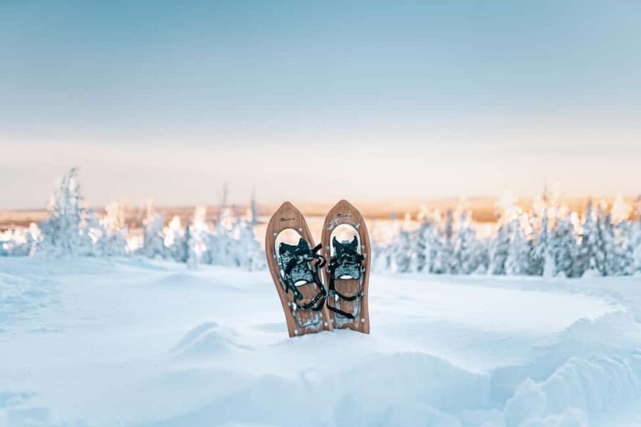 Rovaniemi: Snowshoeing in the Arctic Wilderness - Starting Your Arctic Adventure Near Revontuli Rovaniemi