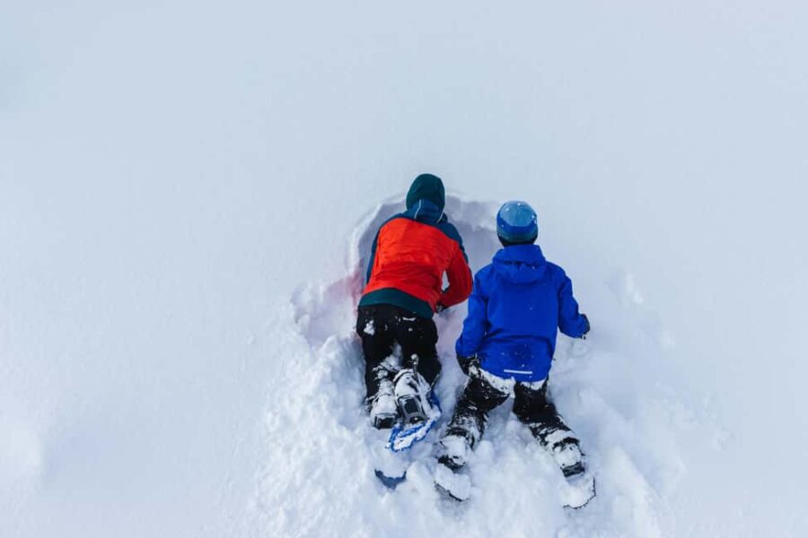 Rovaniemi: Snowshoeing Tour with Wild Lunch and Hotel Pickup - How the Tour Starts with Hotel Pickup in Rovaniemi