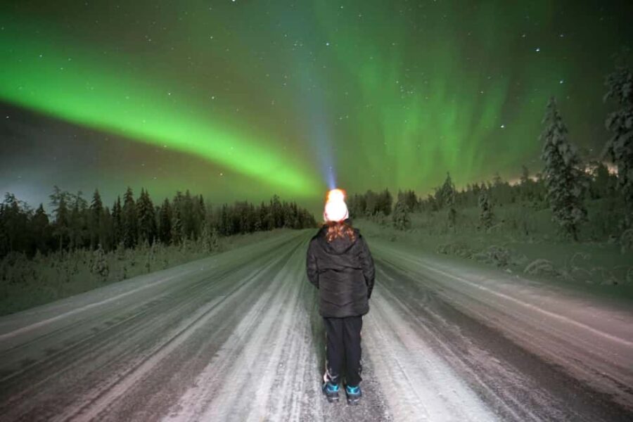 Rovaniemi: The Real Private Northern Lights Hunt - Convenient Departure and Duration