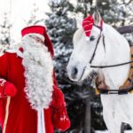 Rovaniemi: Traditional Finnhorse Sleigh Ride at SCV (3km) - Starting Point at Aurora Horses Napapiiri