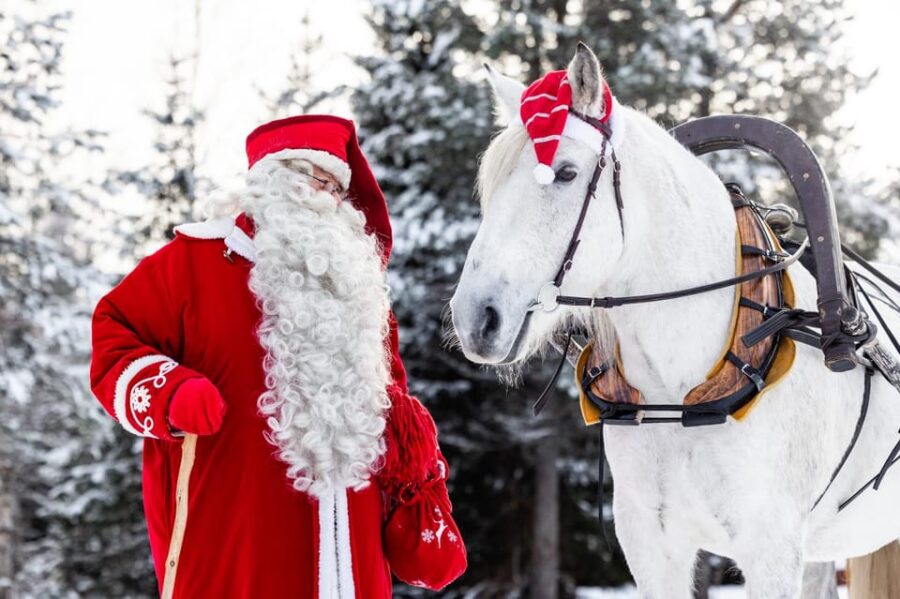 Rovaniemi: Traditional Finnhorse Sleigh Ride at SCV (3km) - Starting Point at Aurora Horses Napapiiri