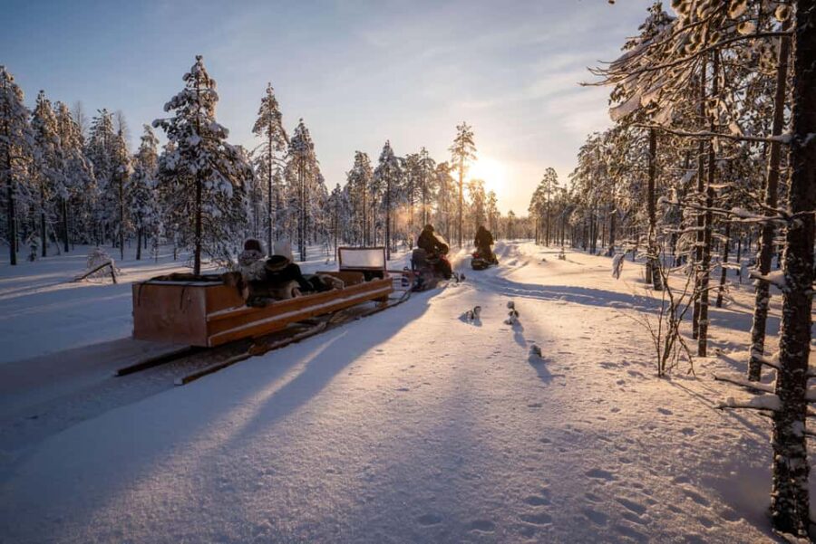 Rovaniemi: Visit Lupland Winter Activity Park at Ranua - Starting Point and Transport to Ranua