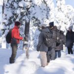 Rovaniemi: Wilderness Tour - Exploring Finland’s Wilderness in Rovaniemi