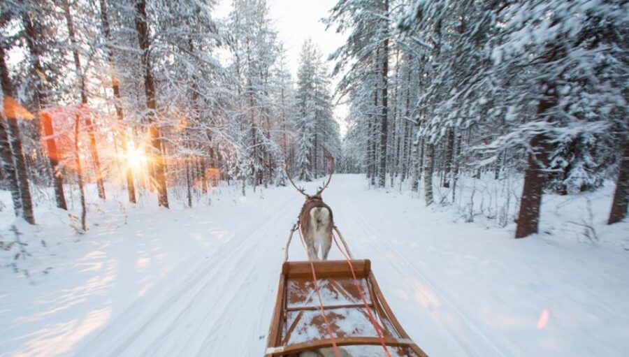 Rovaniemi: Winter Snowshoeing, Reindeer & Husky Sleigh Ride - Starting Point and Tour Schedule in Rovaniemi