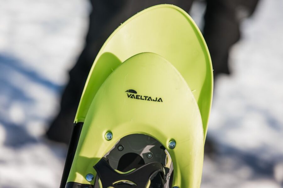 Rovaniemi: Winter Wilderness Snowshoeing Trip - What’s Included in Your Arctic Snowshoe Adventure