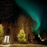 Rovaniemi:Northern Lights Small-Group Tour At Shaman Village - Activities at Shaman Village