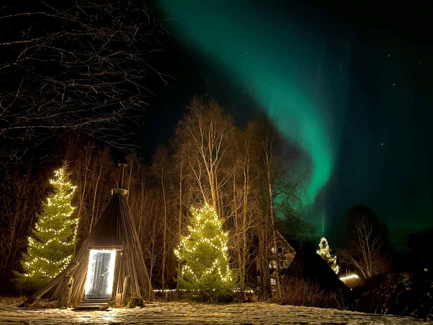 Rovaniemi:Northern Lights Small-Group Tour At Shaman Village - Activities at Shaman Village