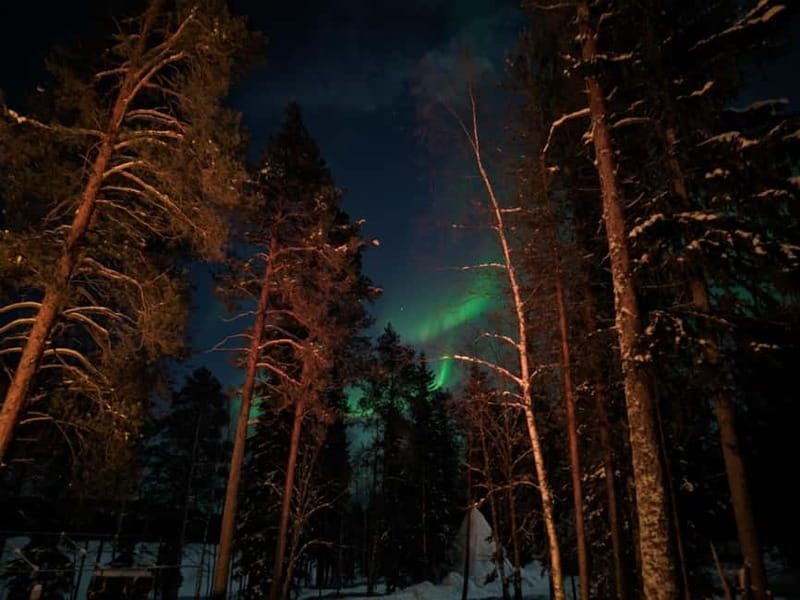 Rovaniemi:Santa Claus Village Guided Tour with Santa's gift - Starting Point and Transportation Logistics