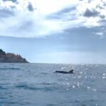 Rovinj: BUBA SUNSET KAYAK, snorkeling&driknks incuded - Gliding Along Rovinjs Coastal Beauty at Sunset