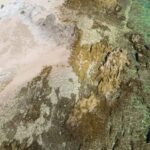 Rovinj: Lim Fjord & Rovinj islands Speedboat Tour - Rovinj’s Stunning Old Town in Just 10 Minutes