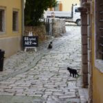 Rovinj: Private Walking Tour - Exploring Rovinj’s Unique History and Multicultural Influences