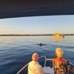Rovinj: Shared Dolphin and Sunset Tour with Drinks - Meeting Point at the Dolphin Dock Station in Rovinj