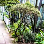 Royal Botanic Garden Edinburgh Private Guided Tour - Starting Point and Meeting Details in Edinburgh