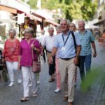 Rüdesheim am Rhein: city tour - Guided Walk Through Rüdesheim’s Historic Streets