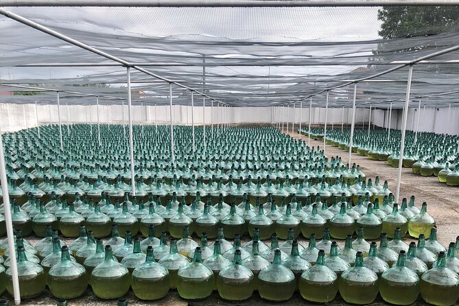 Rueda White Wine Tour with Michelin-Star Lunch from Madrid - Exploring Rueda’s Underground Cellars at Bodegas De Alberto