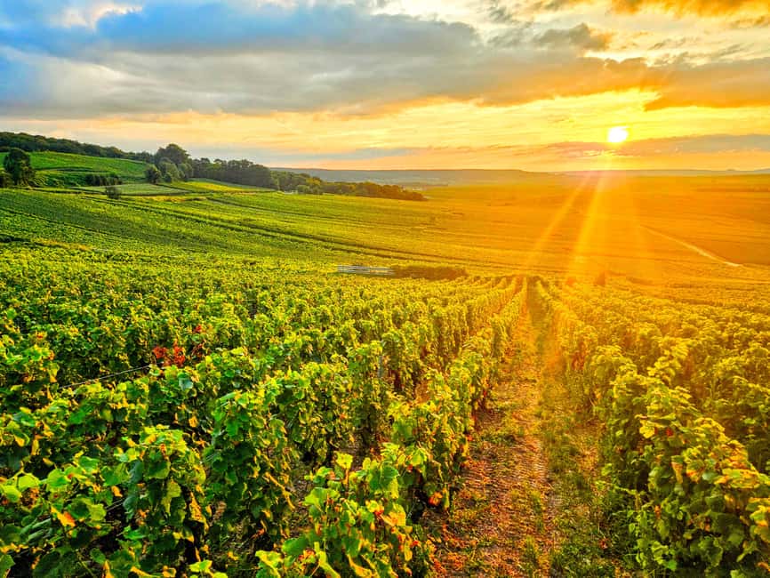 Ruinart Tasting and Fun Private Tour in Champagne - Starting in Reims: An Introduction to Champagne’s Heart