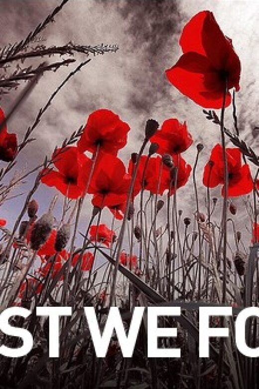 Ruins of Troy and Gallipoli: 2-Day Tour from Istanbul - Exploring the Ruins of Troy and Its Legendary Stories