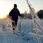 Ruka: Guided Cross-Country Skiing Experience - Exploring Ruka’s Cross-Country Tracks and Scenic Beauty