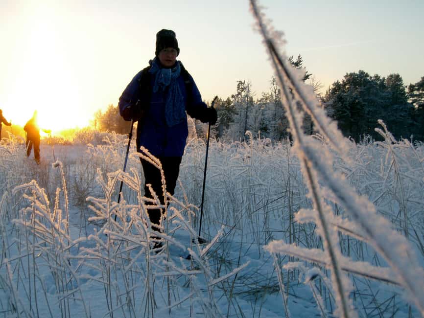 Ruka: Guided Cross-Country Skiing Experience - Exploring Ruka’s Cross-Country Tracks and Scenic Beauty