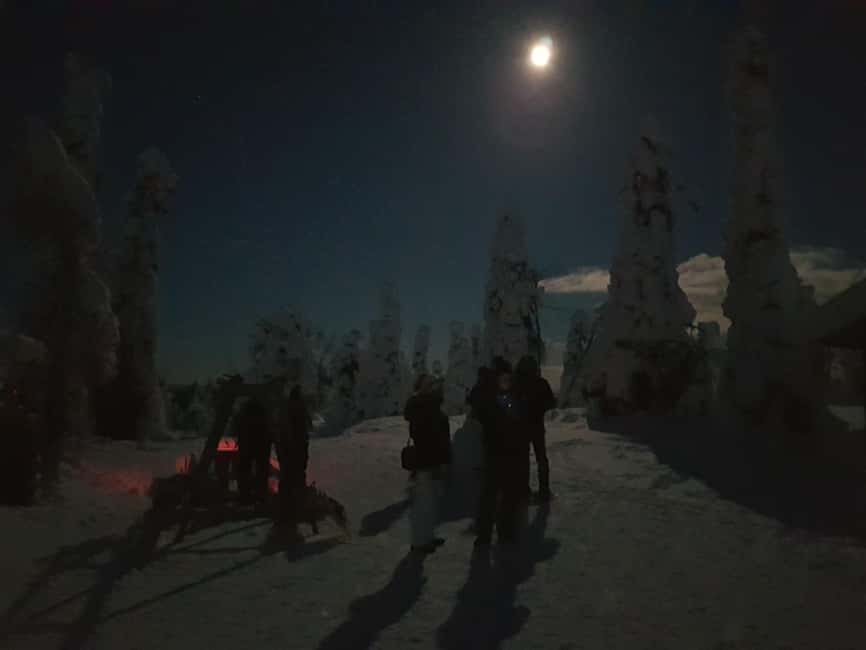 Ruka: Night Snowshoe Hike with Stargazing & Night Sky - Key Points