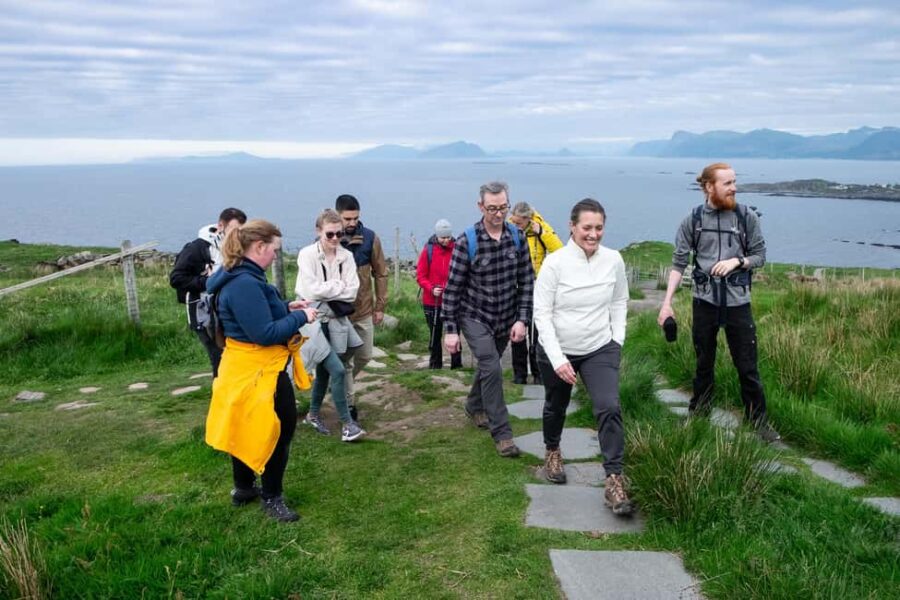 Runde: Guided Puffin Safari with Dinner - Challenging but Scenic Hike to the Bird Cliffs