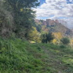 Running Tour in Granada - Climbing to the Royal Ditch of the Sultan