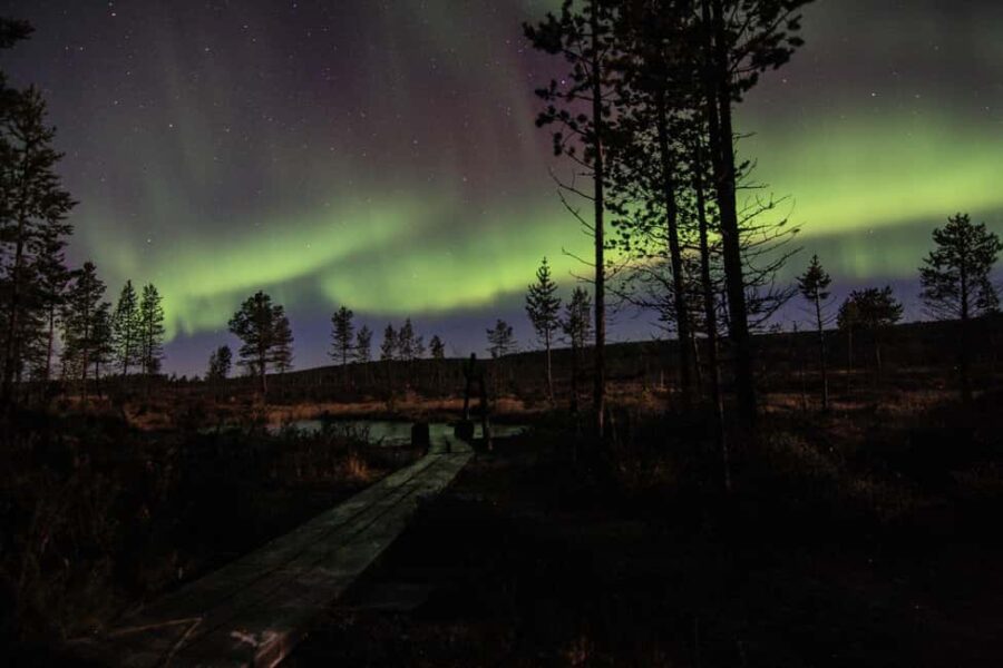 Saariselkä: Aurora Hunt by Car in Muotka - Frequently Asked Questions
