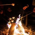 Saariselkä: Aurora Hunting & Reindeer Wilderness Experience - Reindeer Encounter at a Traditional Lapland Farm