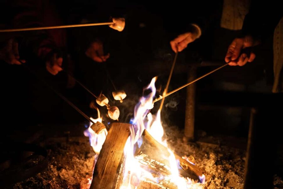 Saariselkä: Aurora Hunting & Reindeer Wilderness Experience - Reindeer Encounter at a Traditional Lapland Farm