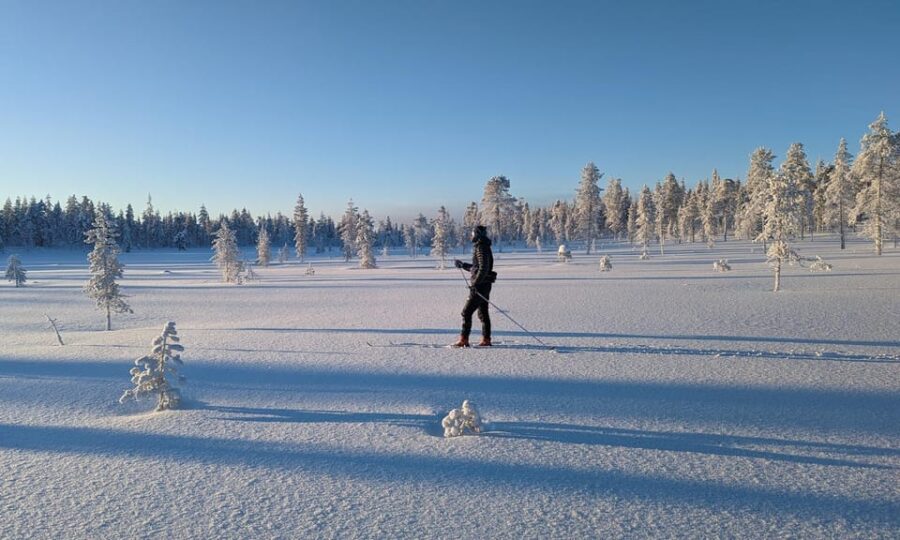 Saariselkä: Back-Country Skiing Guided Tour - Discovering Laplands Wilderness on Back-Country Skis