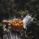 Saariselkä: Forest Treasures Excursion with Outdoor Lunch - Starting Point Near Urho Kekkonen National Park