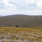 Saariselkä: Hiking Day with Lunch in Kiilopää - The Guide’s Flexibility in Route Choice