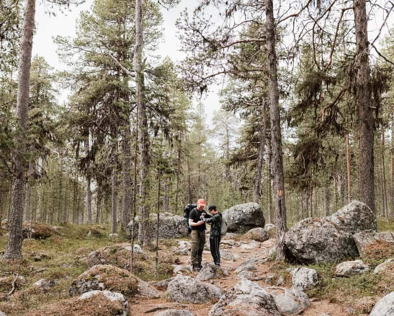 Saariselkä: Muotka Hiking Trip - Wildlife Watching Along the Trail