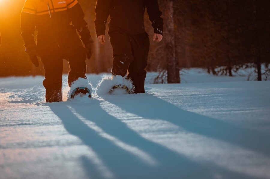 Saariselkä: Northern Lights Hunting Snowshoe Trip - What You Learn About Snowshoeing and Arctic Nature