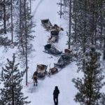 Saariselkä : Reindeer Sleigh Ride with Snacks & Hot Drink - Cozy Fire Side Stop with Hot Drinks and Snacks