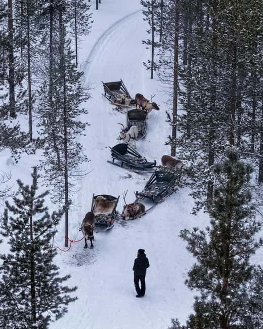 Saariselkä : Reindeer Sleigh Ride with Snacks & Hot Drink - Cozy Fire Side Stop with Hot Drinks and Snacks