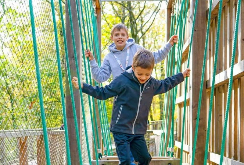 Saarland: Treetop Walk Saarschleife & Lookout Tower - Climbing Up to the 42-Meter Lookout Tower