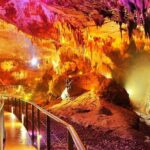 Sabaduri forest, Chronicles of Georgia, wolves and bears Zoo - Sabaduri Forest and the Nature of Georgia