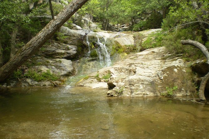 Safari 4x4 in Thassos - Exploring the Old Village of Kastro